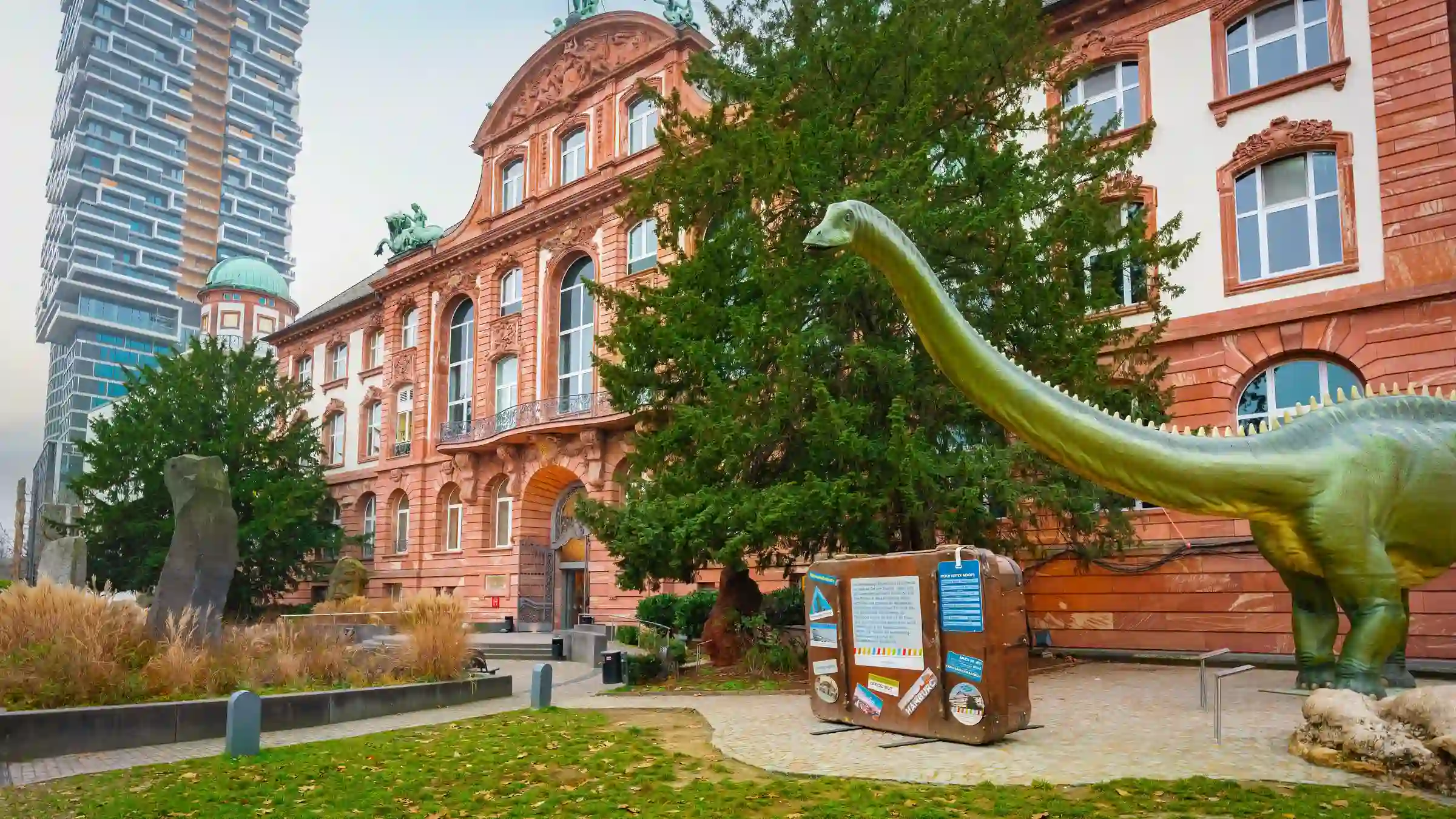Senckenberg Natural History Museum.