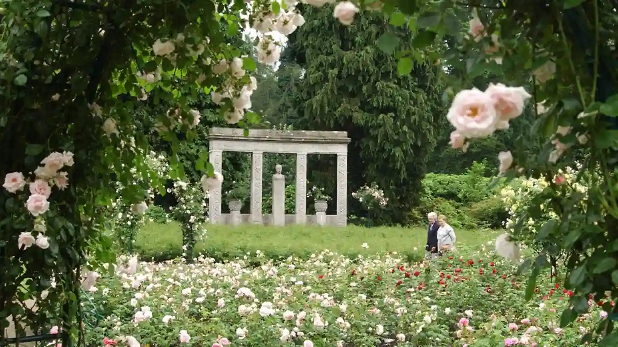 Ohlsdorf Cemetery